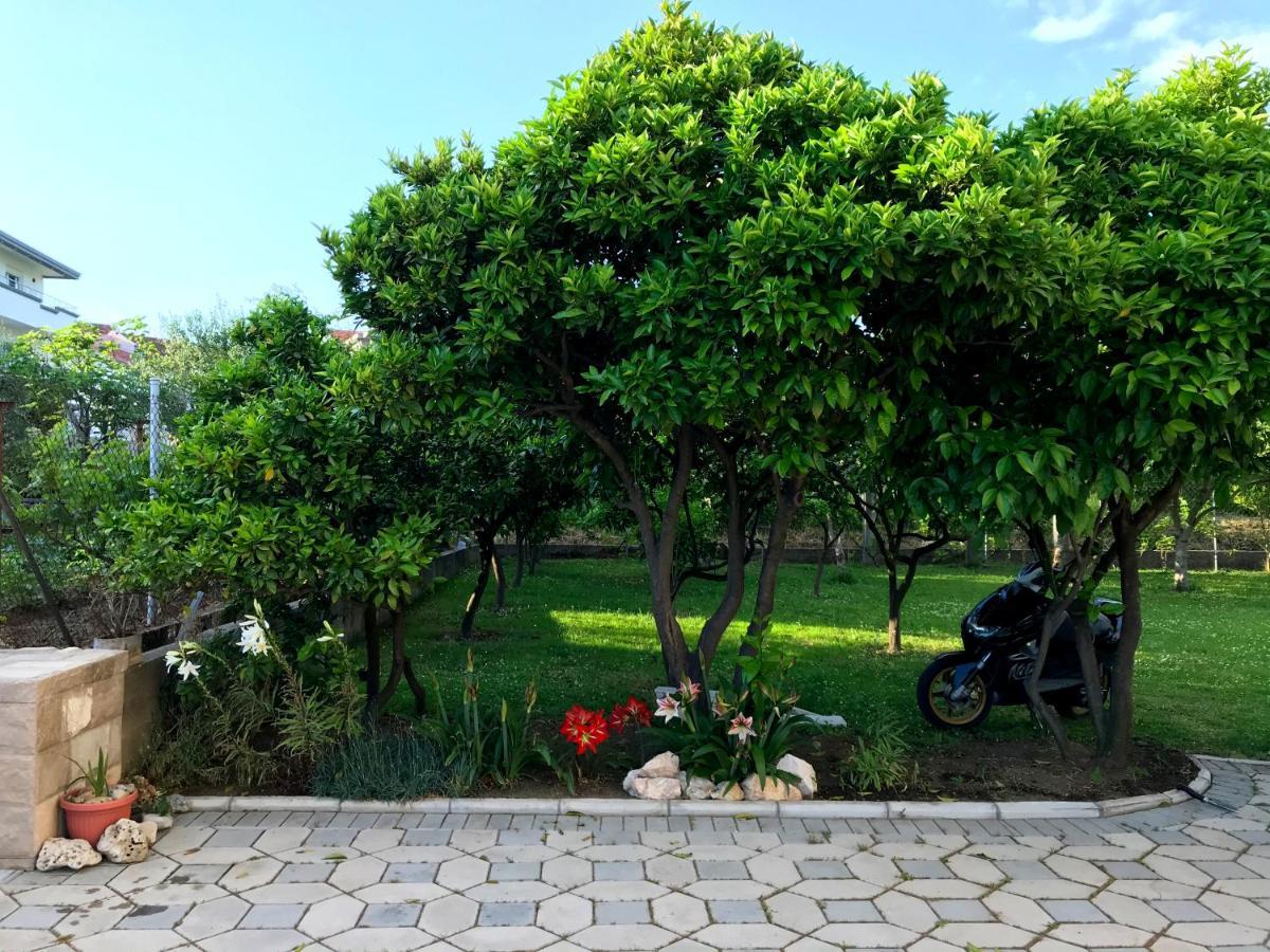 Apartments Kraja Ulcinj Ngoại thất bức ảnh