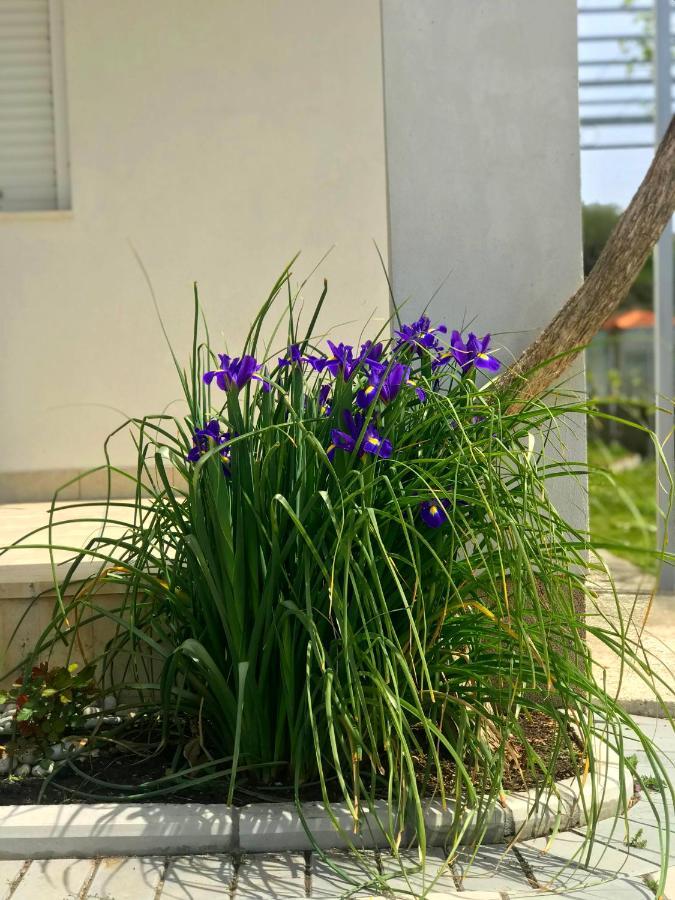 Apartments Kraja Ulcinj Ngoại thất bức ảnh