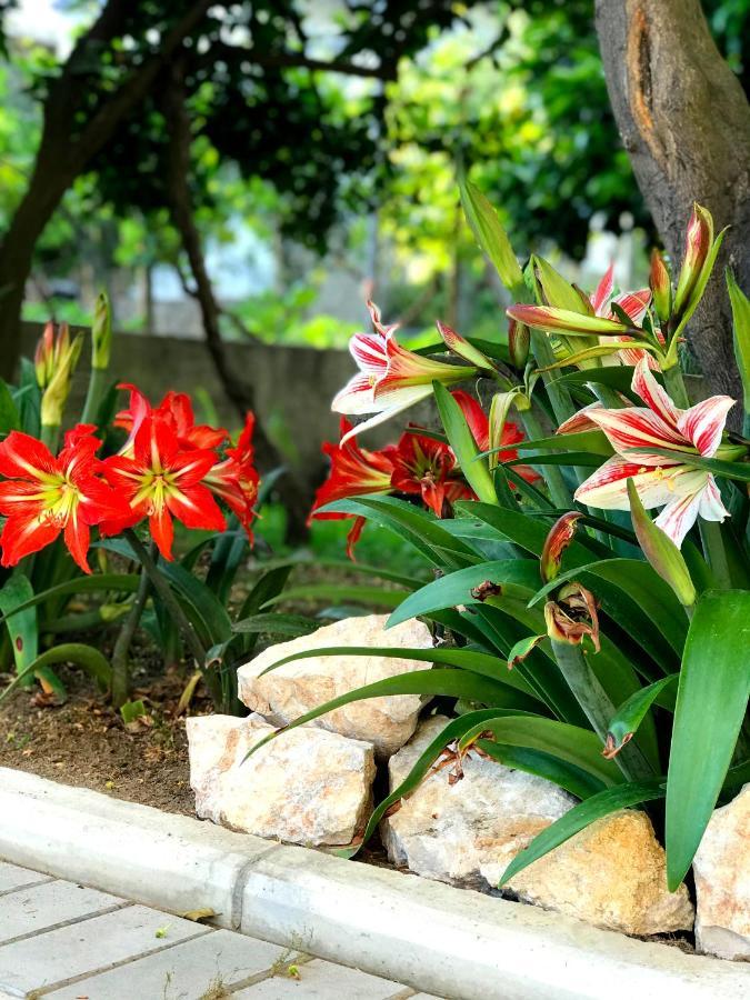 Apartments Kraja Ulcinj Ngoại thất bức ảnh