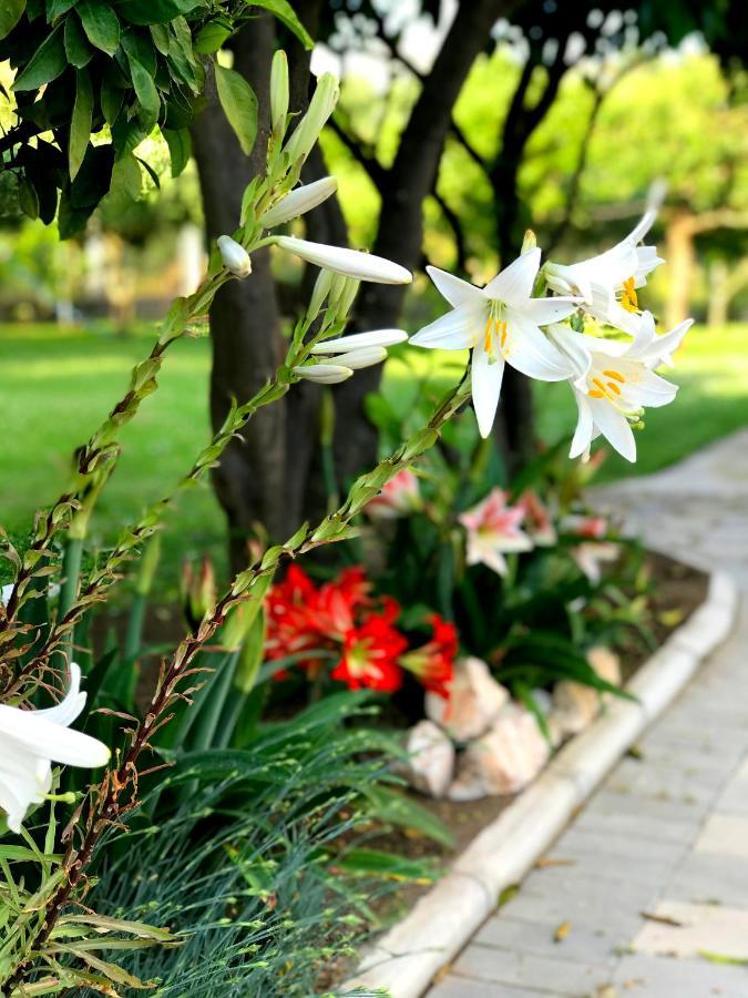Apartments Kraja Ulcinj Ngoại thất bức ảnh