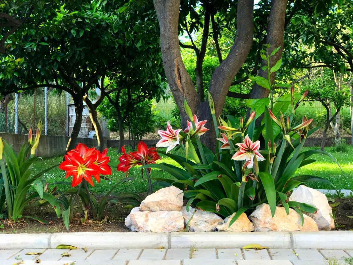 Apartments Kraja Ulcinj Ngoại thất bức ảnh